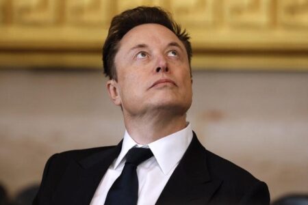 Partai Amerika Milik Elon Musk: Sebuah Tantangan atau Kesia-siaan di Lanskap Politik AS?