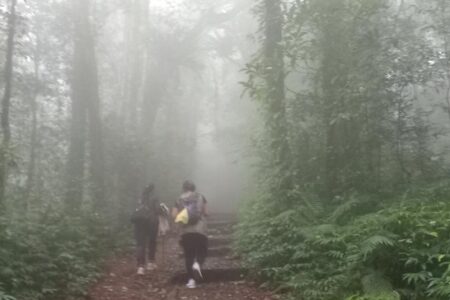 Bukan Indonesia, Malaysia Dinobatkan sebagai 'Surga' Pendaki di Asia Tenggara